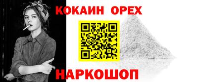 крисы Абакан