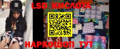 крисы Абакан