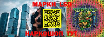 крисы Абакан