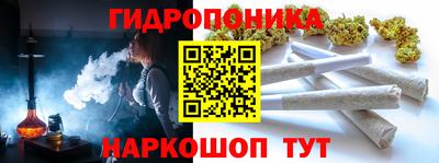 крисы Абакан