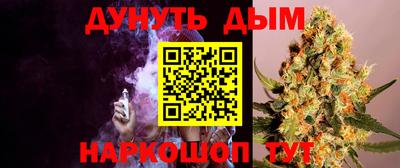 крисы Абакан