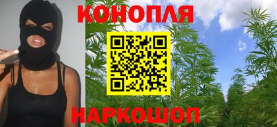 крисы Абакан