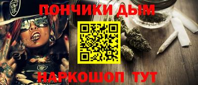 крисы Абакан