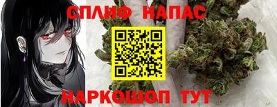 крисы Абакан