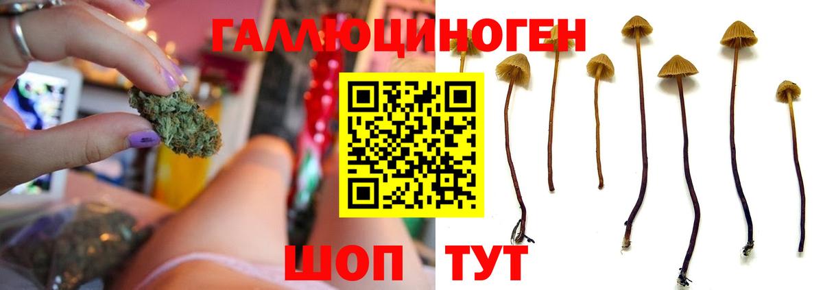 Галлюциногенные грибы MAGIC MUSHROOMS Алексин